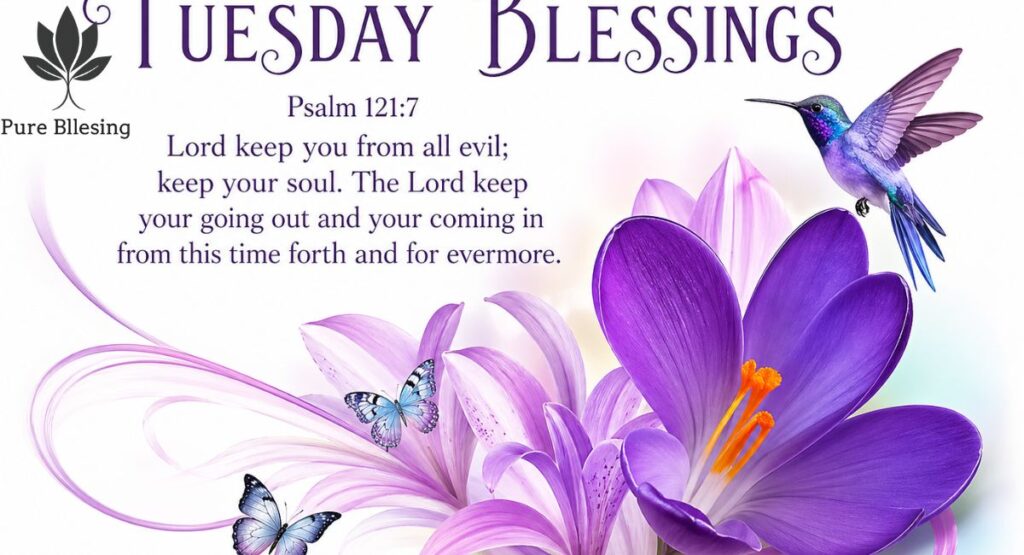 Tuesday Blessings KJ